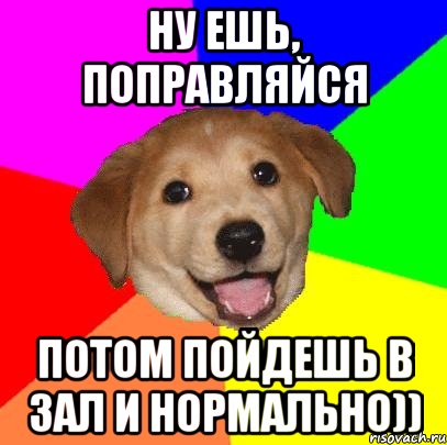 ну ешь, поправляйся потом пойдешь в зал и нормально)), Мем Advice Dog