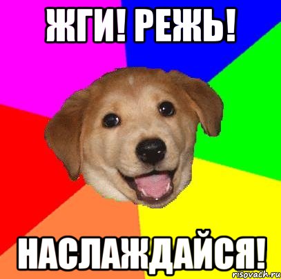 жги! режь! наслаждайся!, Мем Advice Dog