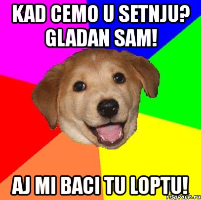 kad cemo u setnju? gladan sam! aj mi baci tu loptu!, Мем Advice Dog