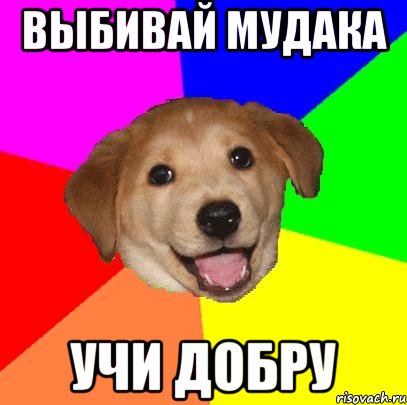 выбивай мудака учи добру, Мем Advice Dog