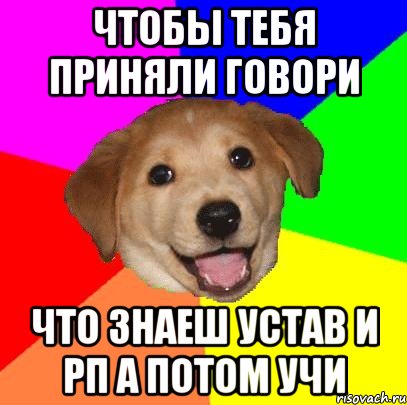 чтобы тебя приняли говори что знаеш устав и рп а потом учи, Мем Advice Dog