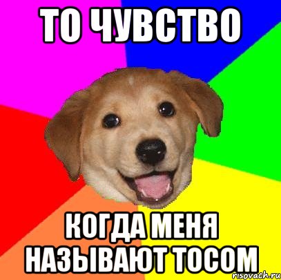 то чувство когда меня называют тосом, Мем Advice Dog