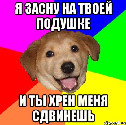 я засну на твоей подушке и ты хрен меня сдвинешь, Мем Advice Dog