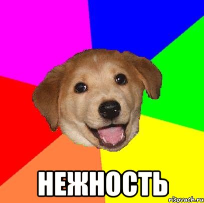  нежность, Мем Advice Dog