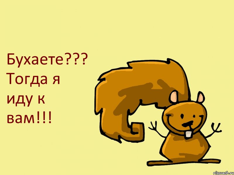 Бухаете??? Тогда я иду к вам!!!, Комикс  белка