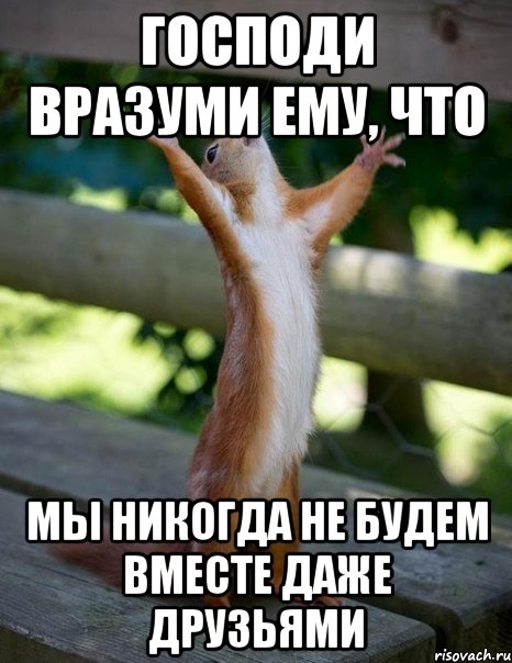 господи вразуми ему, что мы никогда не будем вместе даже друзьями, Мем    белка молится