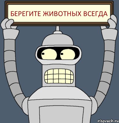 Берегите животных ВСЕГДА, Комикс Бендер с плакатом
