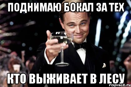 поднимаю бокал за тех кто выживает в лесу, Мем Великий Гэтсби (бокал за тех)