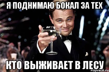 я поднимаю бокал за тех кто выживает в лесу, Мем Великий Гэтсби (бокал за тех)