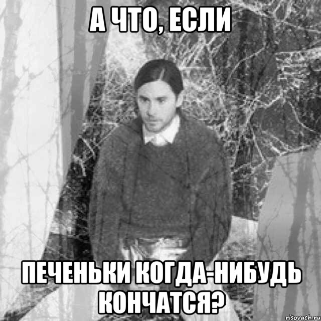 а что, если печеньки когда-нибудь кончатся?, Мем  бзсхд Джаред