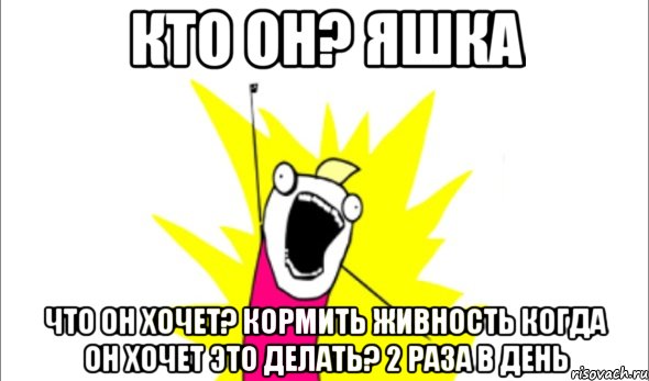 кто он? яшка что он хочет? кормить живность когда он хочет это делать? 2 раза в день, Мем Что мы хотим