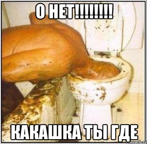 о нет!!! какашка ты где, Мем Дайвер