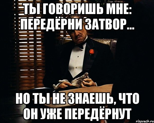 ты говоришь мне: передёрни затвор... но ты не знаешь, что он уже передёрнут, Мем Дон Вито Корлеоне