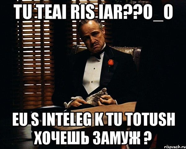 tu teai ris iar??o_o eu s inteleg k tu totush хочешь замуж ?, Мем Дон Вито Корлеоне