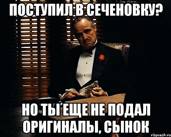 поступил в сеченовку? но ты еще не подал оригиналы, сынок, Мем Дон Вито Корлеоне