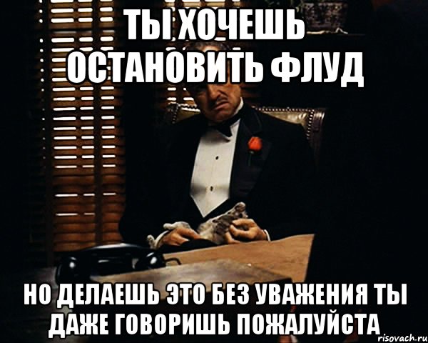 ты хочешь остановить флуд но делаешь это без уважения ты даже говоришь пожалуйста, Мем Дон Вито Корлеоне