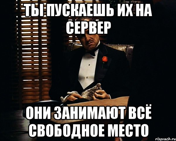 ты пускаешь их на сервер они занимают всё свободное место, Мем Дон Вито Корлеоне