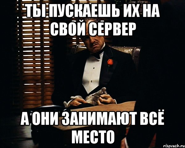 ты пускаешь их на свой сервер а они занимают всё место, Мем Дон Вито Корлеоне