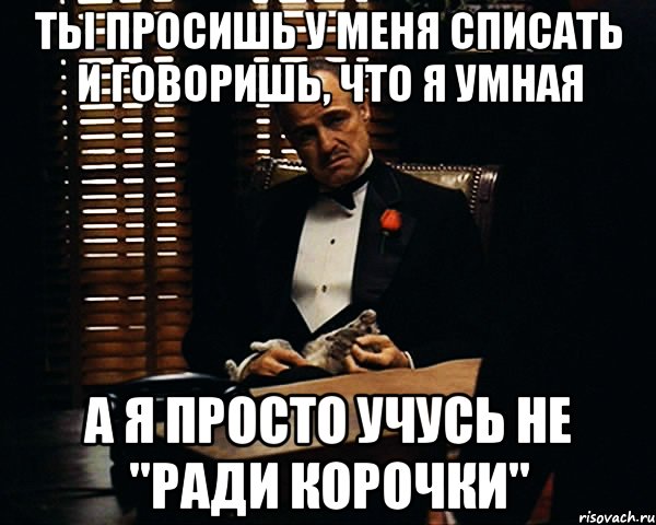 ты просишь у меня списать и говоришь, что я умная а я просто учусь не "ради корочки", Мем Дон Вито Корлеоне