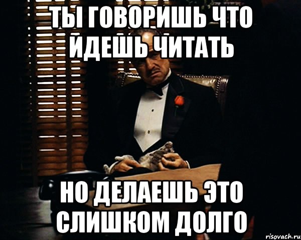 ты говоришь что идешь читать но делаешь это слишком долго, Мем Дон Вито Корлеоне