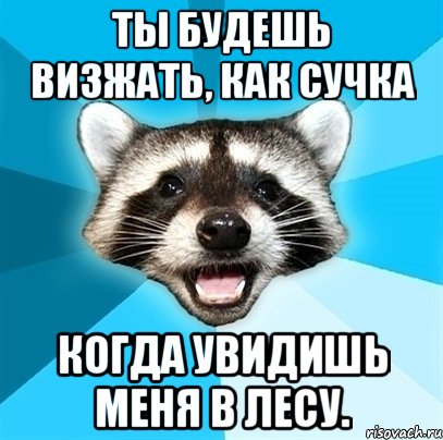 ты будешь визжать, как сучка когда увидишь меня в лесу., Мем Енот-Каламбурист