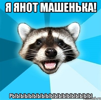 я янот машенька! рыыыыыыыыыыыыыыыыыыы, Мем Енот-Каламбурист