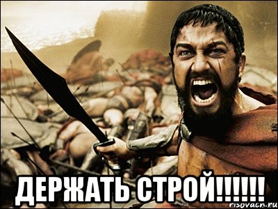  держать строй!!!, Мем Это Спарта