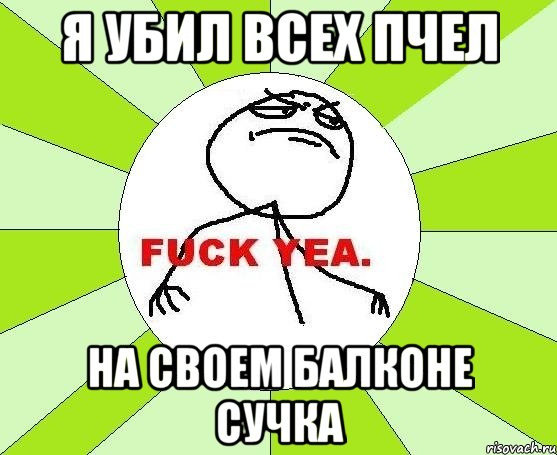 я убил всех пчел на своем балконе сучка, Мем фак е