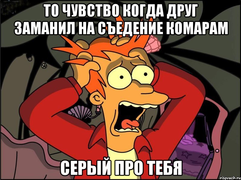 то чувство когда друг заманил на съедение комарам серый про тебя, Мем Фрай в панике