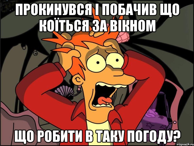 прокинувся і побачив що коїться за вікном що робити в таку погоду?, Мем Фрай в панике