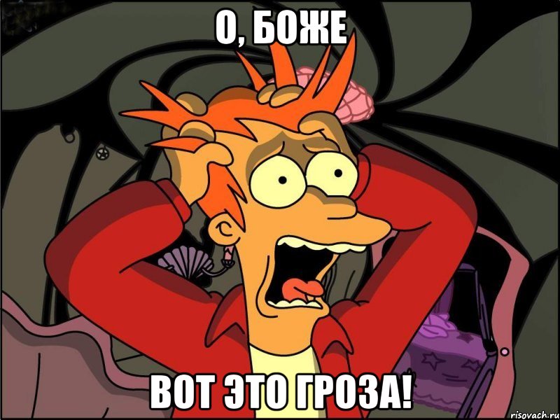 о, боже вот это гроза!, Мем Фрай в панике
