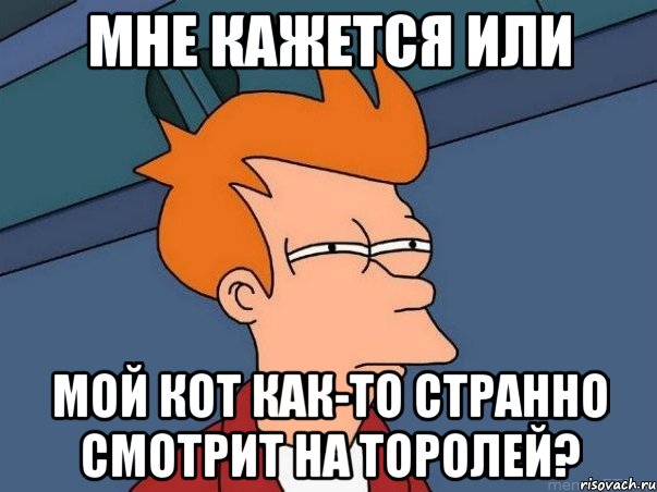 мне кажется или мой кот как-то странно смотрит на торолей?, Мем  Фрай (мне кажется или)