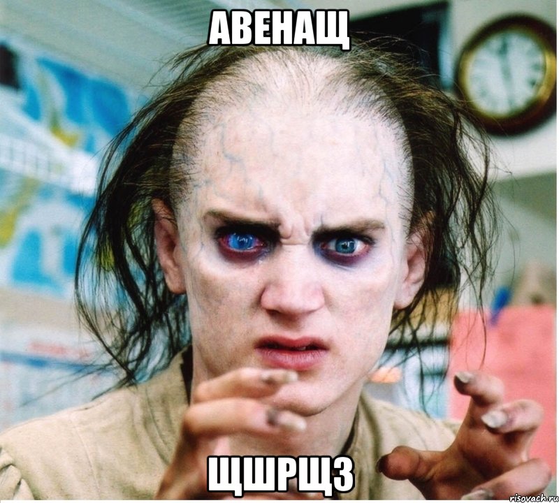 авенащ щшрщз, Мем фродум