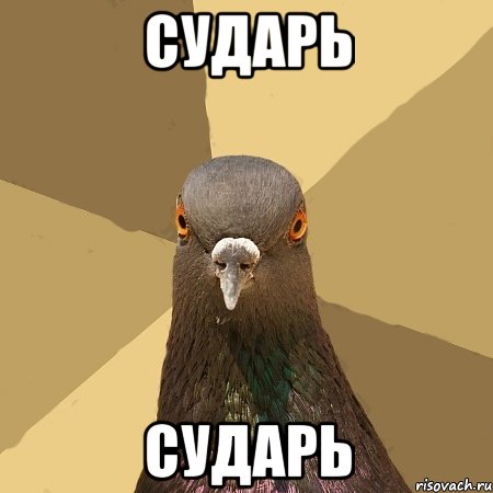 сударь сударь