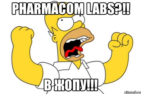 pharmacom labs?!! в жопу!!!, Мем Разъяренный Гомер