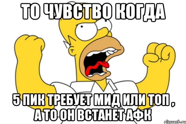 то чувство когда 5 пик требует мид или топ , а то он встанет афк, Мем Разъяренный Гомер