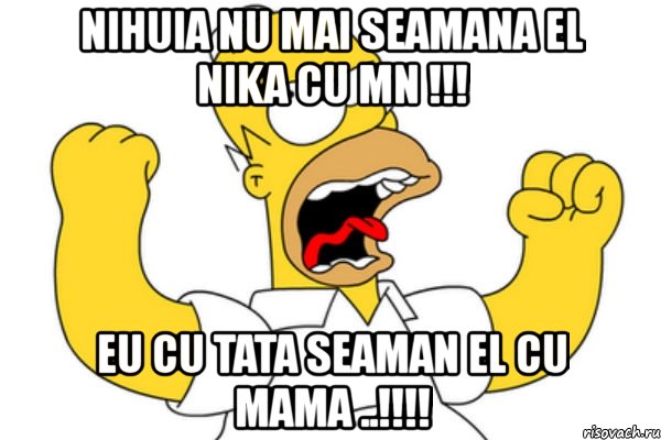 nihuia nu mai seamana el nika cu mn !!! eu cu tata seaman el cu mama ..!!!, Мем Разъяренный Гомер