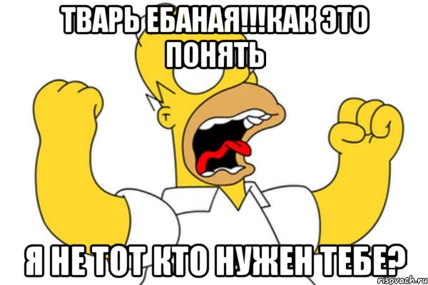 тварь ебаная!!!как это понять я не тот кто нужен тебе?, Мем Разъяренный Гомер