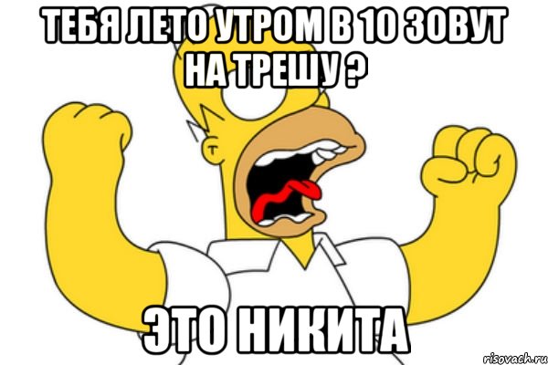 тебя лето утром в 10 зовут на трешу ? это никита, Мем Разъяренный Гомер