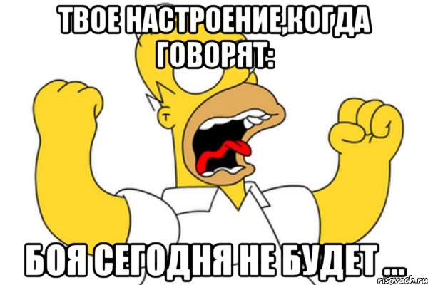 твое настроение,когда говорят: боя сегодня не будет ..., Мем Разъяренный Гомер