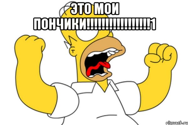 это мои пончики!!!1 , Мем Разъяренный Гомер