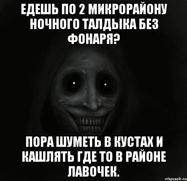 едешь по 2 микрорайону ночного талдыка без фонаря? пора шуметь в кустах и кашлять где то в районе лавочек., Мем Ночной гость