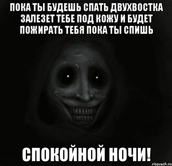 пока ты будешь спать двухвостка залезет тебе под кожу и будет пожирать тебя пока ты спишь спокойной ночи!, Мем Ночной гость