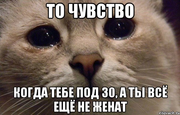 то чувство когда тебе под 30, а ты всё ещё не женат, Мем   В мире грустит один котик