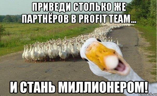 приведи столько же партнёров в profit team... и стань миллионером!, Мем гуси