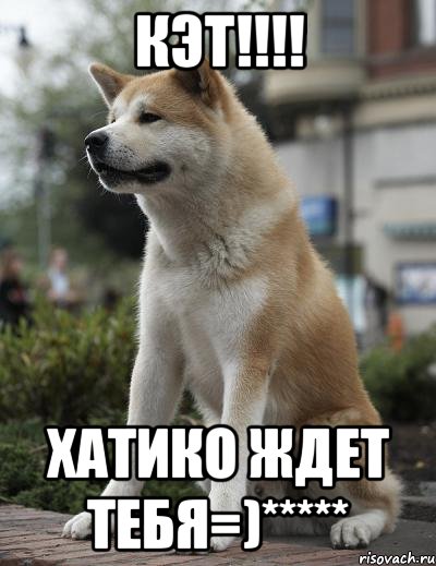 кэт!!! хатико ждет тебя=)*****, Мем  Хатико ждет