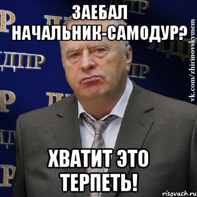 заебал начальник-самодур? хватит это терпеть!, Мем Хватит это терпеть (Жириновский)