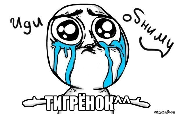  тигрёнок^^, Мем Иди обниму
