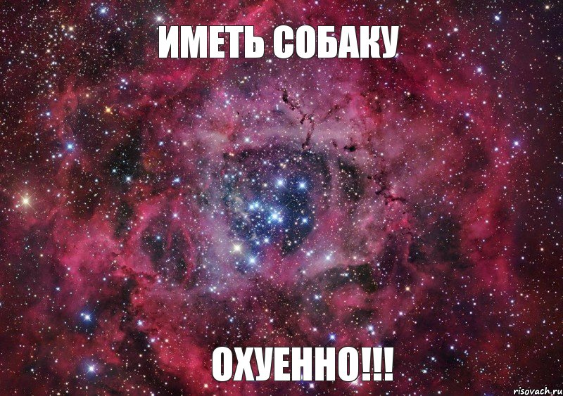 ИМЕТЬ СОБАКУ ОХУЕННО!!!