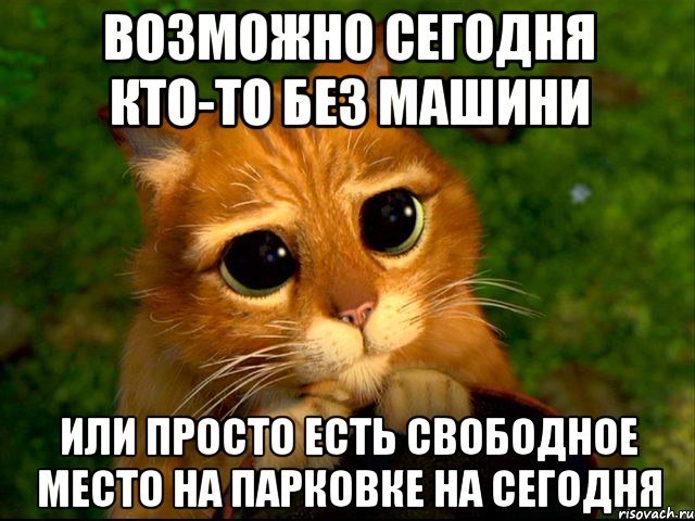 возможно сегодня кто-то без машини или просто есть свободное место на парковке на сегодня, Мем кот из шрека